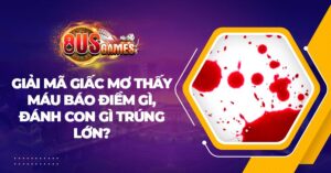 giai ma giac mo thay mau 8US.Bet