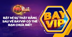 Bật mí sự thật đằng sau về BayVip có thể bạn chưa biết