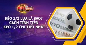 Kèo 1/2 lựa là sao? Cách tính tiền kèo 1/2 chi tiết nhất 3 Kèo 1/2 lựa là sao? Cách tính tiền kèo 1/2 chi tiết nhất